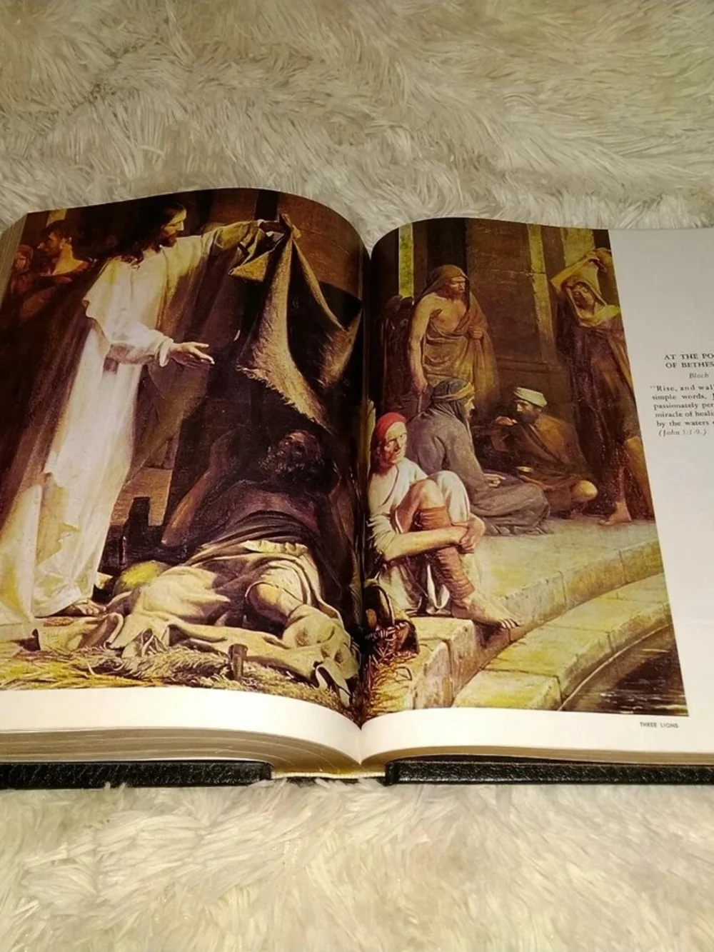 Holy Bible Holman KJV Hardback 1970 Family Bible Large Print
